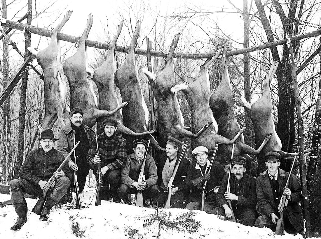 Whitetail Deer: A Cornerstone of American History and Hunting Heritage - Northern Tines USA